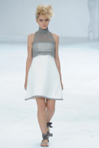 chanel-couture-fall-2014-63_105938476807
