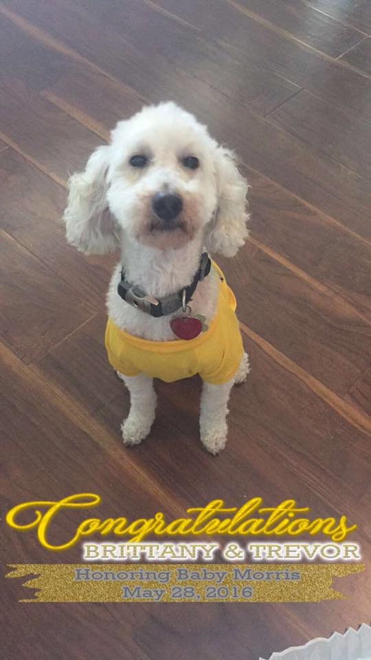 BabyShowerSnapchatGeofilter