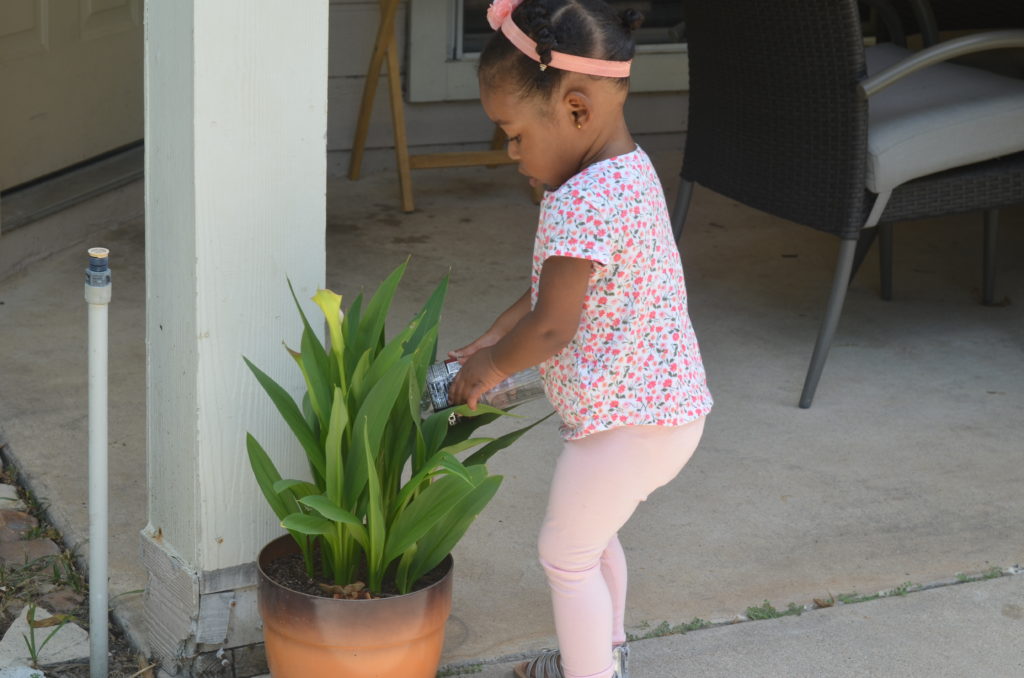 Banded2Gether Handband - Brilliant Brittany